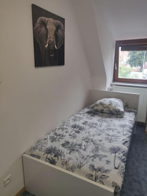 Tres Bel Appart Charmant 85M2 Parking Gratuit Molsheim Bagian luar foto